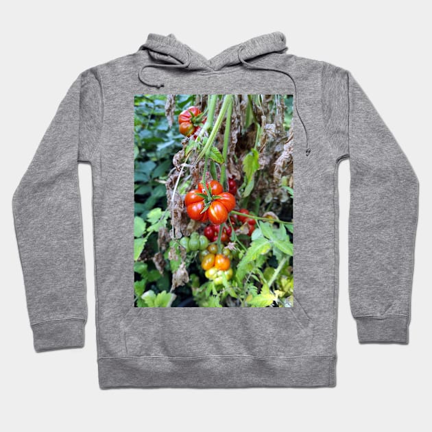 A toothed tomato Hoodie by Gourmetkater